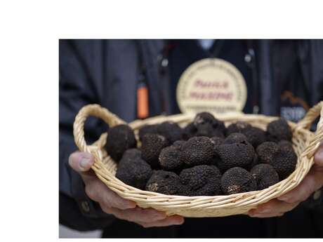 Marché aux truffes - Dimanches matins Décembre et janvier - Sorges