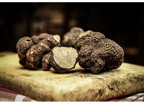 Les rencontres de la trufficulture - 28 janvier 2026 - Sorges et Ligueux en Périgord