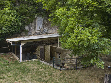 Gisement du Moustier