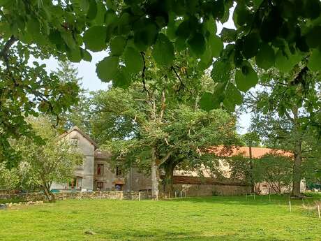 Gîte forestier le Chassaing