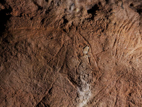 Grotte des Combarelles