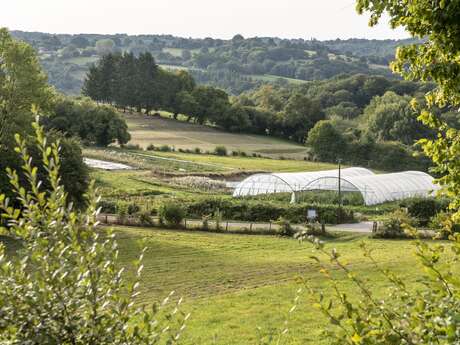 Ferme agroecologique"Courgette et Poulette"