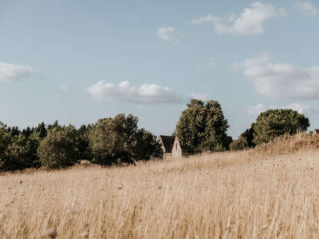 Domaine Saint-Amand