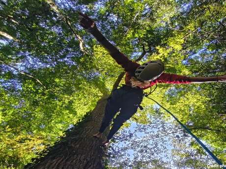 Les Ecureuils sur Cordes
