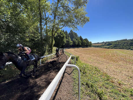 Dans la peau d'un jockey
