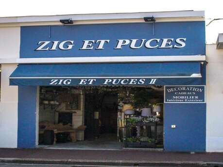 Zig et puces II