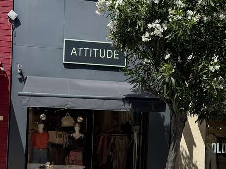 Attitude