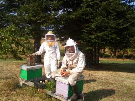 Apiculture Bobineau