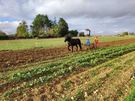 L'Unis vert des sens