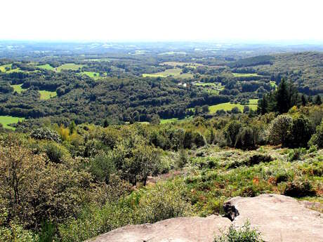 Trail et course nature - La montée du KAO