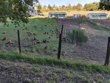 La ferme d'Enea