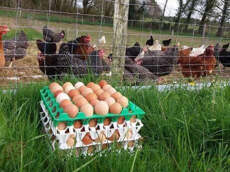La Ferme d'Enea
