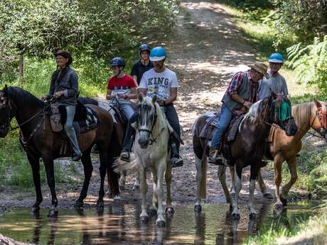 Old Ranch