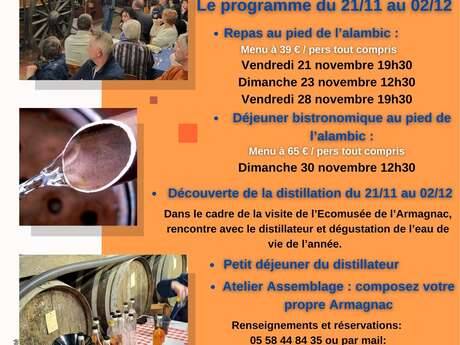 Découverte de la distillation