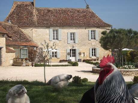 Domaine de Rigal - Le Manoir