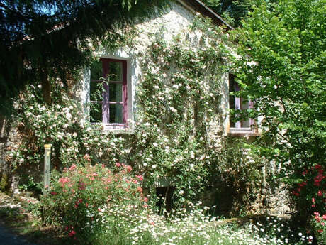 Le Vieux Moulin de la Maque - Gîte B