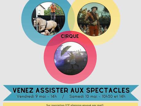 Spectacle Pooka