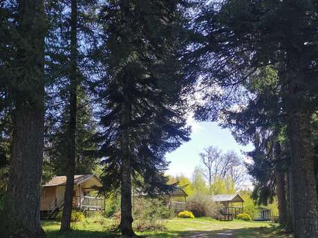 Camping les Sapins de Corrèze