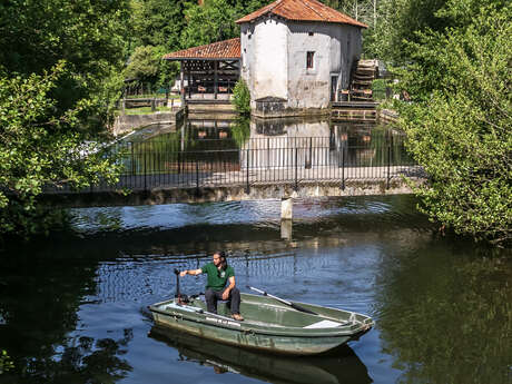 Promenades en barque sur la Dronne