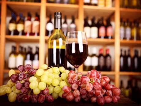 Visite du vignoble Vin Nu