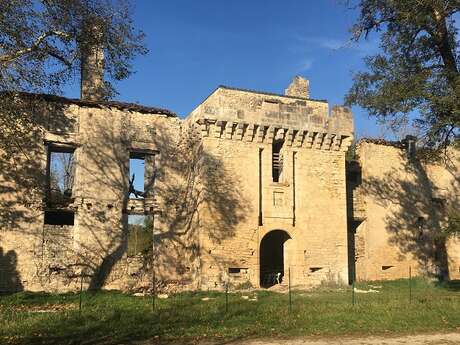 JEP - les vestiges du château de Marqueyssac