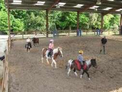 Centre Equestre et Poney Club La Métairie du Roc