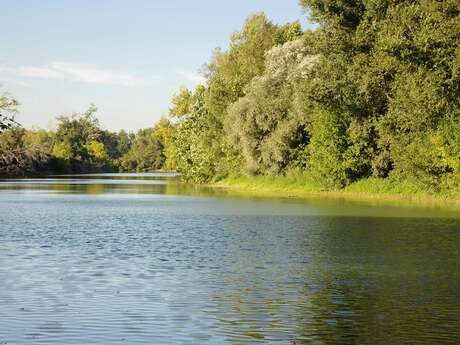 Découverte des secrets de l'Adour "Sur les trames vertes et bleues entre Préchacq et Pontonx"