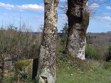 Menhir de la Croix Parot