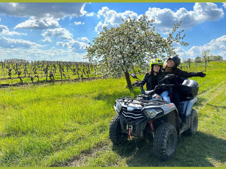 Off-Road Wine Tours