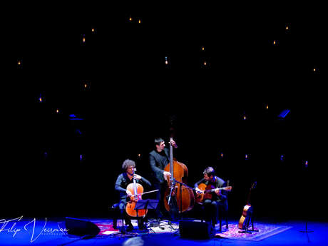 Jeudi's Jazz : Loco Cello