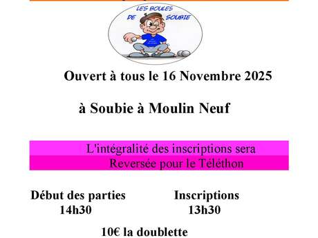 Concours de pétanque