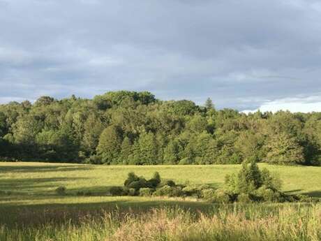 A la découverte des zones humides de la vallée de la Tardoire