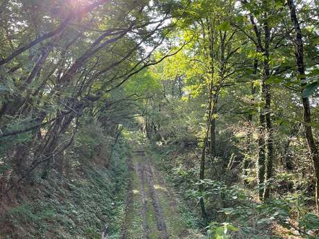 Course nature des 7 clochers