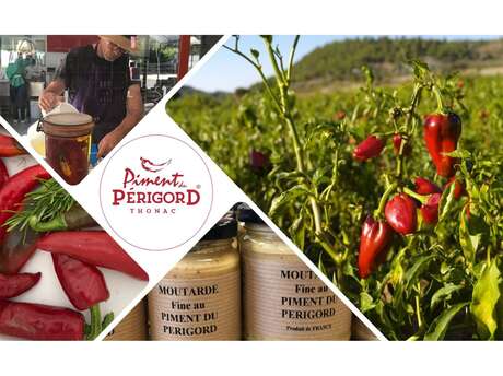 Piments et Moutarde du Périgord