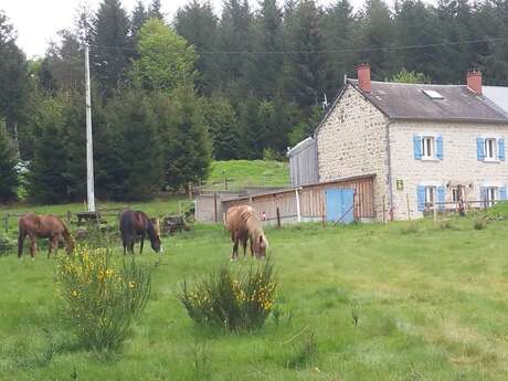 LE PUY DES BRUGES