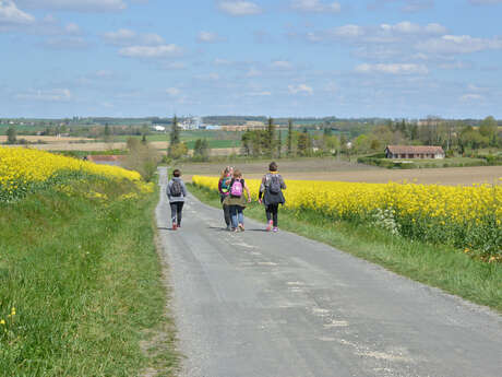 Chemins de Terre d'Harrisson Barker en Val de Dronne