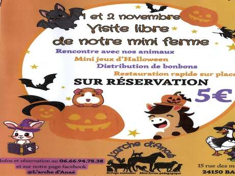 Halloween des tout-petits à la ferme