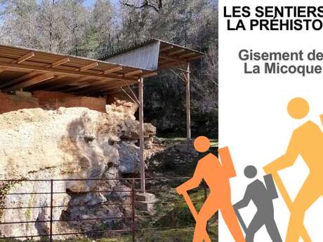 Visite accompagnée - Gisement La Micoque