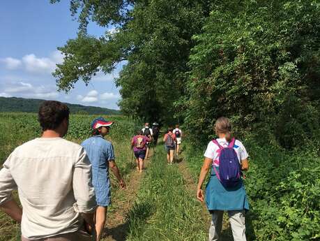 Balade découverte créative des paysages de Siorac
