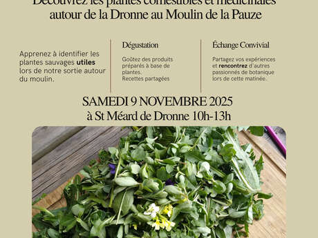 Sortie botanique plantes sauvages