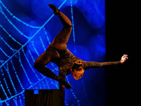 Cie Haspop Cirque du grand Lyon "Bibliotek, écris ton histoire"