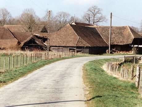 "De la Terre aux Tuiles : l'Histoire des Tuileries de la Chapelle"
