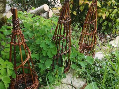 Atelier vannerie : tuteur conique en osier
