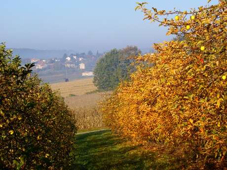 Vergers des Grangiers