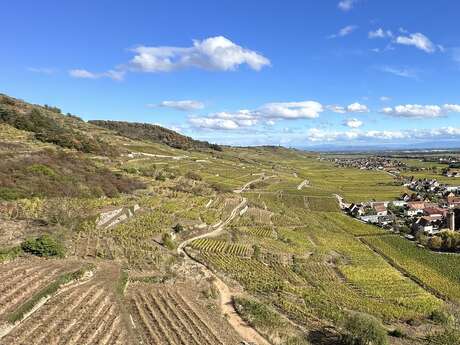 Conférence : "Géologie, vins et terroirs" par Nicolas CHARLES - géologue