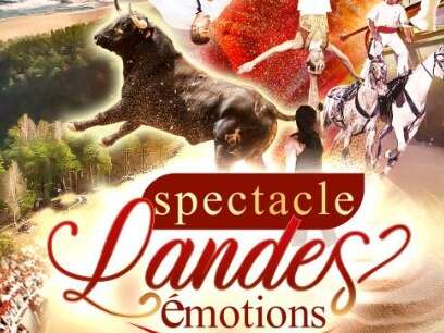 Landes Emotions