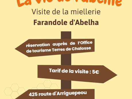 La vie de l'abeille - visite d'une miellerie