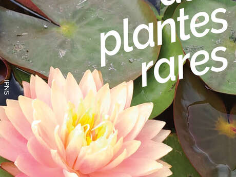 Foire aux plantes rares