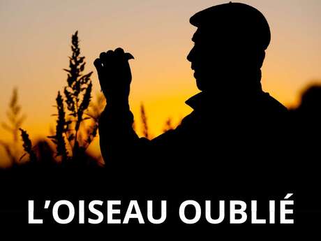 Ciné Rencontre sur l'ortolan "L'oiseau oublié" - partenariat FDC40