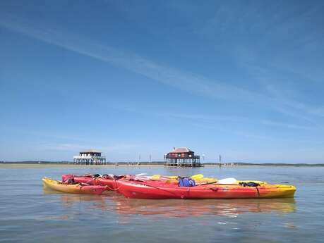 Arcachon Kayak Aventure